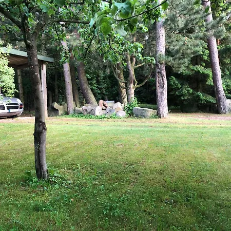 1-bedroom Apartment-rooftop Jakuzzi-hot Tub, Bbq & Sauna In A Forest By The شقة